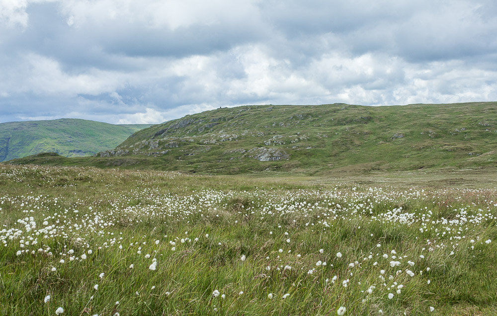 Tarn Crag Tarn Crag